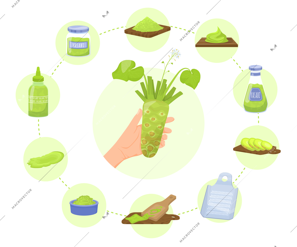 Wasabi sauce flat infographics with round composition of hand with plant and circle of isolated icons vector illustration