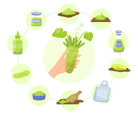 Wasabi sauce flat infographics with round composition of hand with plant and circle of isolated icons vector illustration