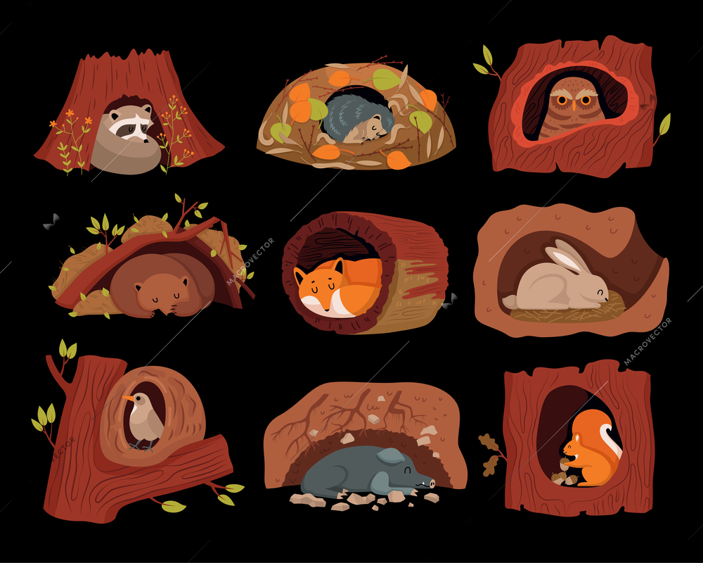 Forest animals in tree hollows and holes on black background cartoon collection flat vector illustration
