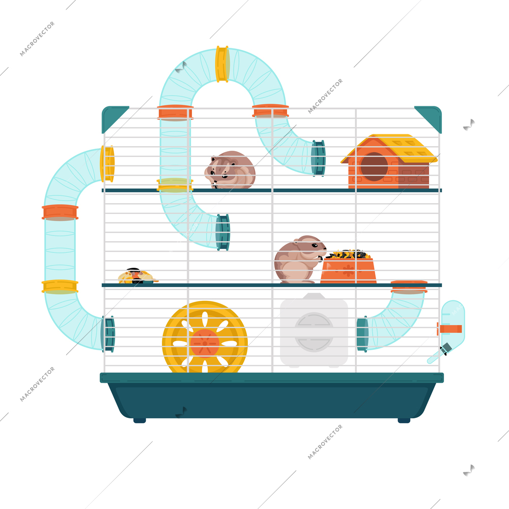 Domestic three level enclosure for hamster with food bowl tunnel exercise wheel flat cartoon vector illustration