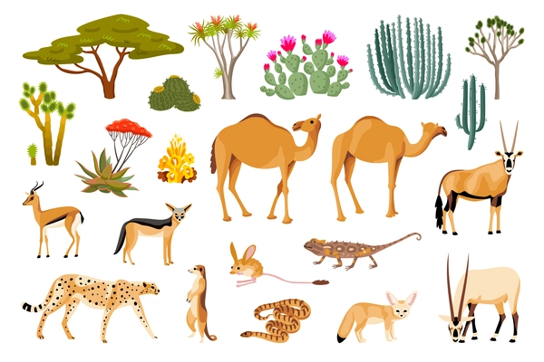 Desert flora and fauna cartoon set of reptile camel leopard snake goat jackal cactus isolated vector illustration