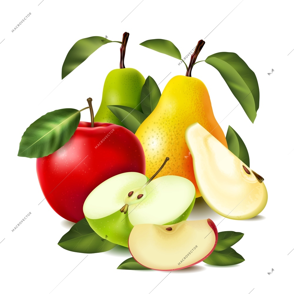 Colored realistic pear apple composition whole and sliced pears apples of different varieties vector illustration