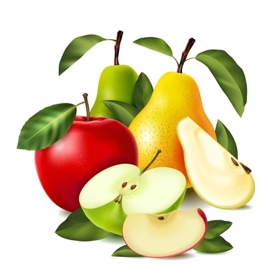 Colored realistic pear apple composition whole and sliced pears apples of different varieties vector illustration