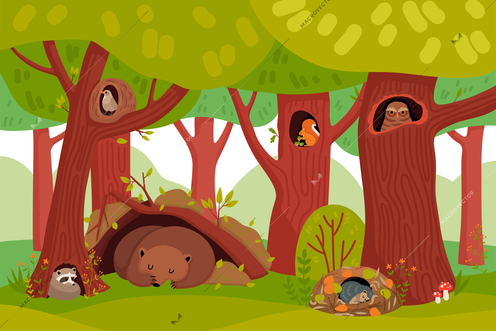 Summer wildlife cartoon background with forest animals living in tree hollows and holes flat vector illustration