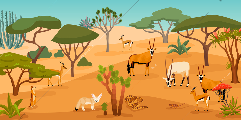 Desert cartoon background with wild animals walking among cacti and saxauls flat vector illustration