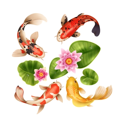 Realistic koi fish composition with top view of lake water lily flowers leaves and exotic fishes vector illustration