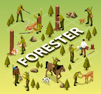 Isometric forester flowchart with anti fire and wildlife protection vector illustration