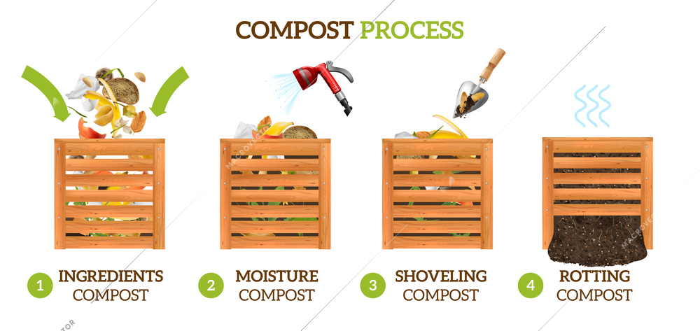 Realistic compost infographics with compositions of images representing consequent stages of processing compost with text captions vector illustration