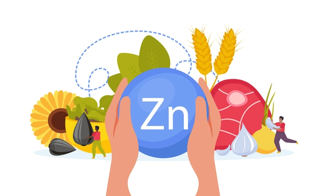 Hands holding zinc micro element with healthy food in background flat composition vector illustration