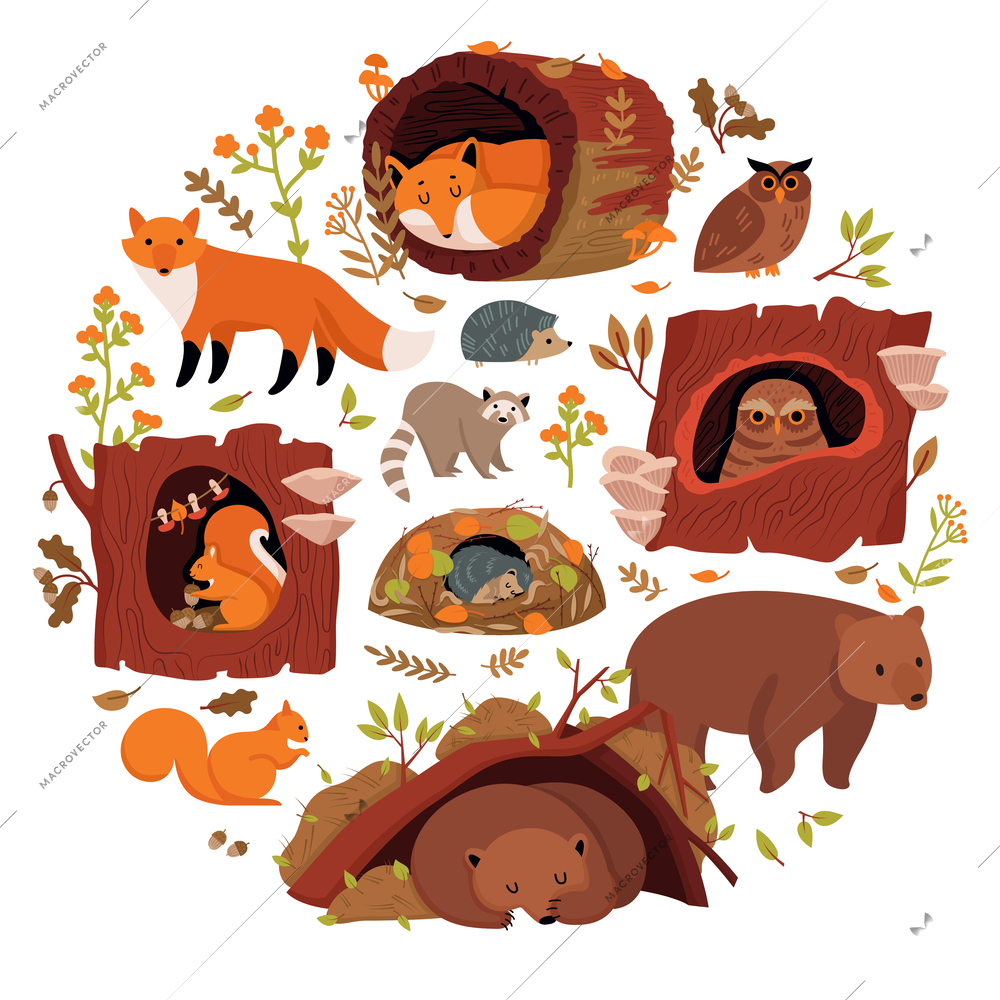 Wild forest animals round composition with bear fox owl hedgehog squirrel cartoon characters  in tree hollows flat vector illustration