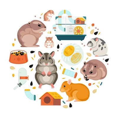 Hamster flat round composition with cute animals food and cage with wheel and automatic drinker   cartoon vector illustration