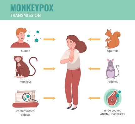 Monkey pox virus infographics with transmission ways from human and animals vector illustration