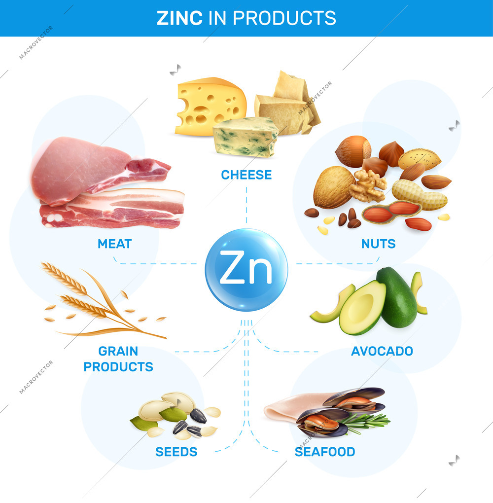 Zink infographics with flowchart of isolated realistic images with grain seeds seafood cheese meat and nuts vector illustration