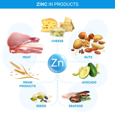 Zink infographics with flowchart of isolated realistic images with grain seeds seafood cheese meat and nuts vector illustration