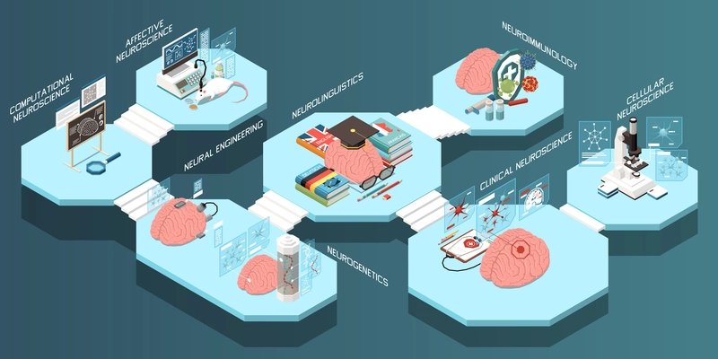 Isometric composition with branches of neuroscience and laboratory equipment 3d vector illustration