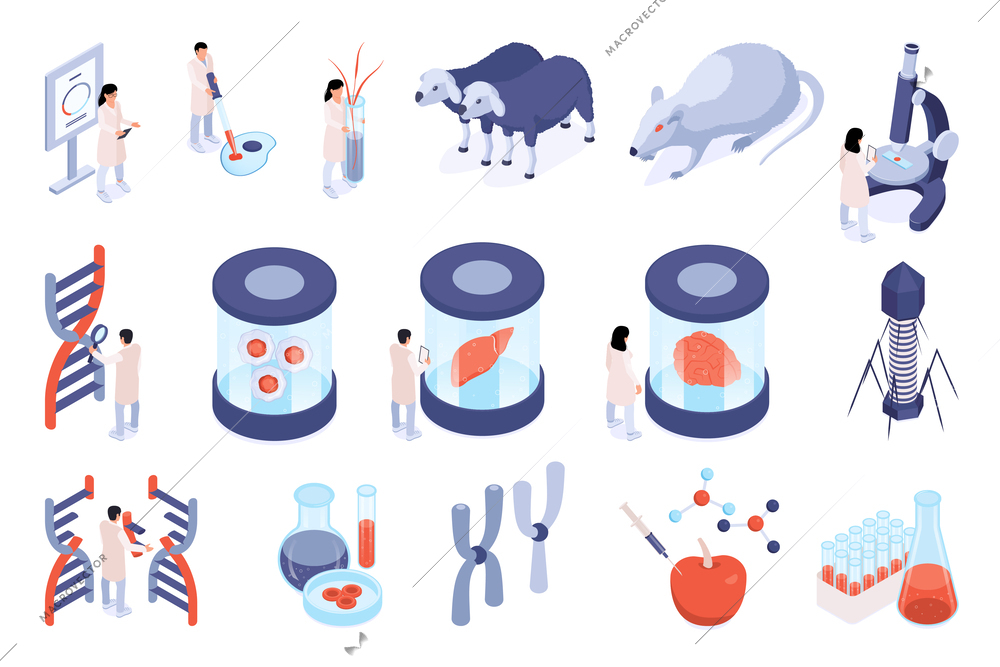 Isometric genetic engineering set with scientific lab tests and experiment symbols isolated vector illustration