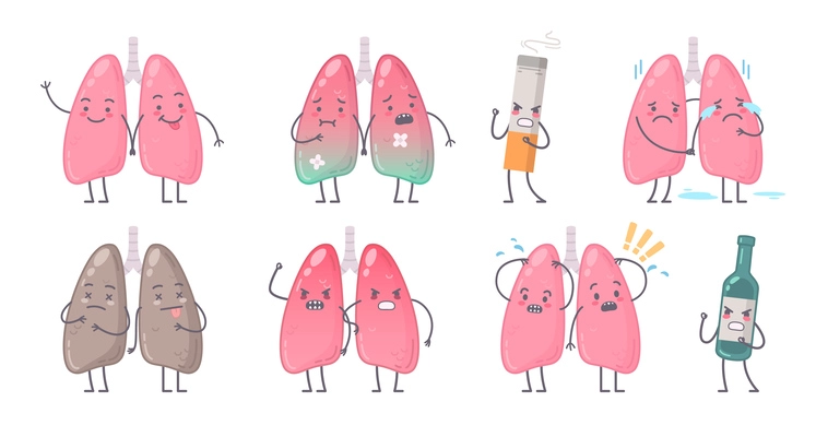 Human organs characters cartoon set with isolated images of human lungs with alcohol bottle and cigarette vector illustration