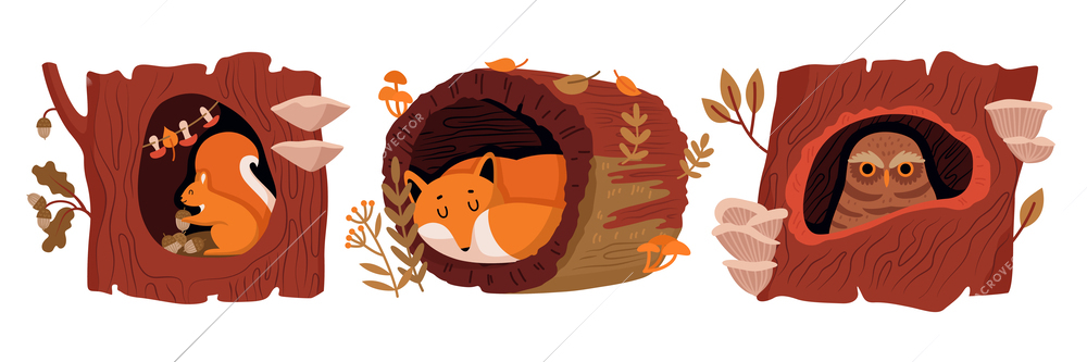 Forest animals in tree hollow three isolated compositions with squirrel owl fox cartoon characters flat vector illustration