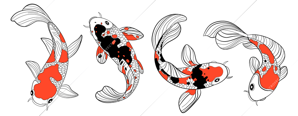 Koi fish color drawing with beauty symbols flat isolated vector illustration