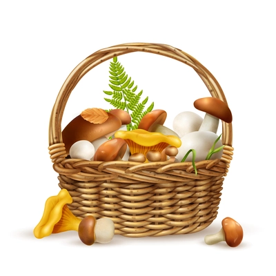 Mushrooms basket realistic concept with boletus and porcini vector illustration