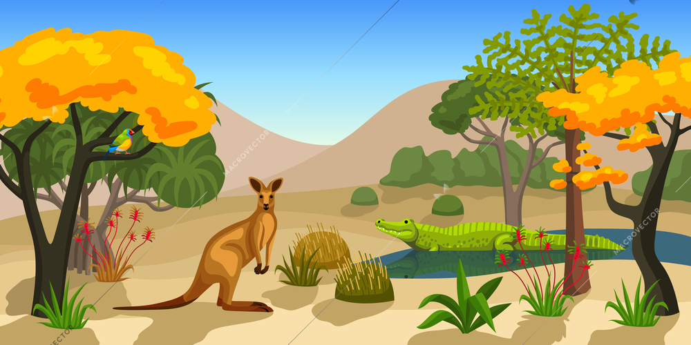 Australian animals landscape background with kangaroo crocodile amadina exotic trees and plants flat vector illustration