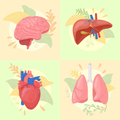Human organs flat 2x2 set of square compositions with floral elements and colored limbs internal organs vector illustration