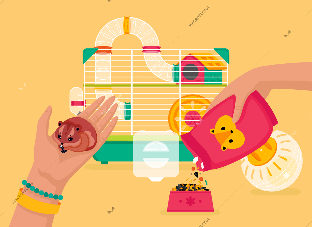 Take care of domestic animal design concept with woman hands holding hamster and pouring dry food cartoon vector illustration