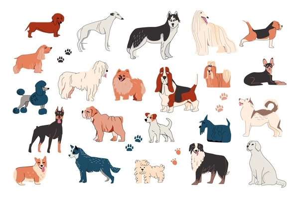 Dog drawing outline set with isolated icons of trails and images of dogs of different breed vector illustration