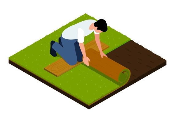 Isometric rolled lawn installation process with worker installing artificial grass surface vector illustration