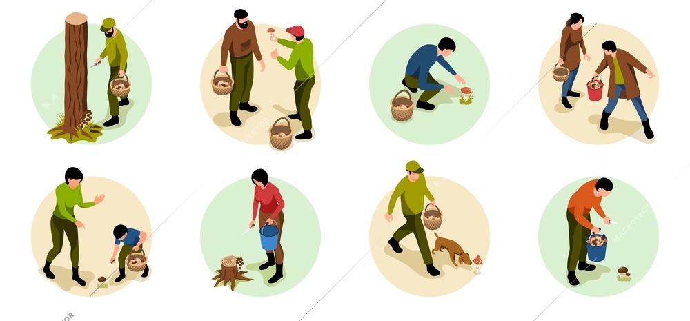 Isometric mushroom pickers set of isolated circle compositions with human characters searching for mushrooms in woods vector illustration