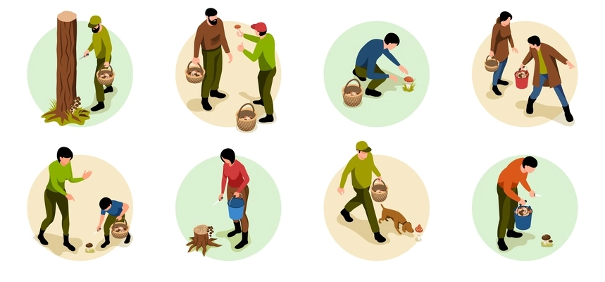 Isometric mushroom pickers set of isolated circle compositions with human characters searching for mushrooms in woods vector illustration