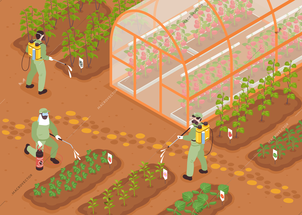 Isometric farm pest control concept with workers spraying the garden vector illustration