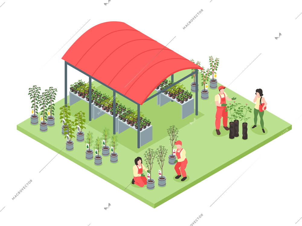 Isometric nursery garden concept with outdoor plant sale vector illustration