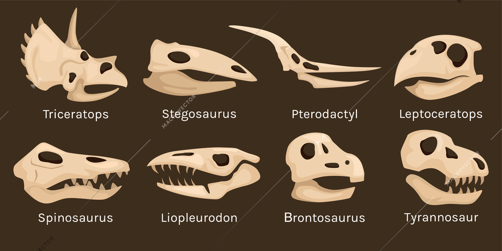 Dinosaur skeleton head set with isolated icons of skulls and bone findings with editable text captions vector illustration