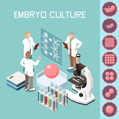 Embryo culture isometric background with group of scientists discussing problems of artificial insemination  vector illustration