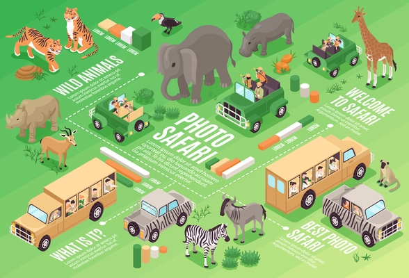 Isometric photo safari flowchart with wild animals and travel vehicles vector illustration