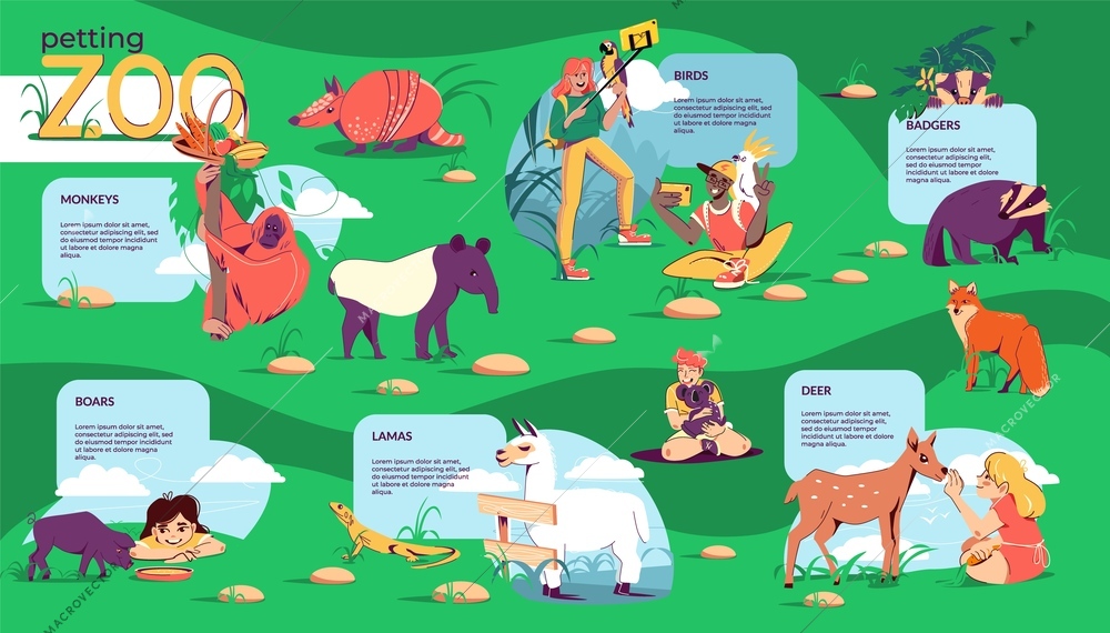 Petting zoo flat infographic composition with conceptual map of outdoor wildlife area with tourists and text vector illustration