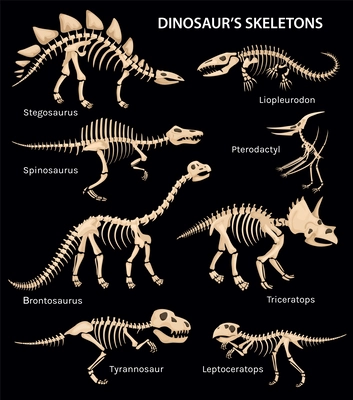 Set with isolated side view images of dinosaur skeleton on black background with editable text captions vector illustration