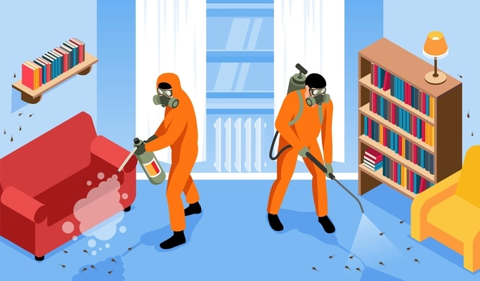 Pest control service workers using insecticide in living room exterminating cockroaches 3d isometric horizontal vector illustration