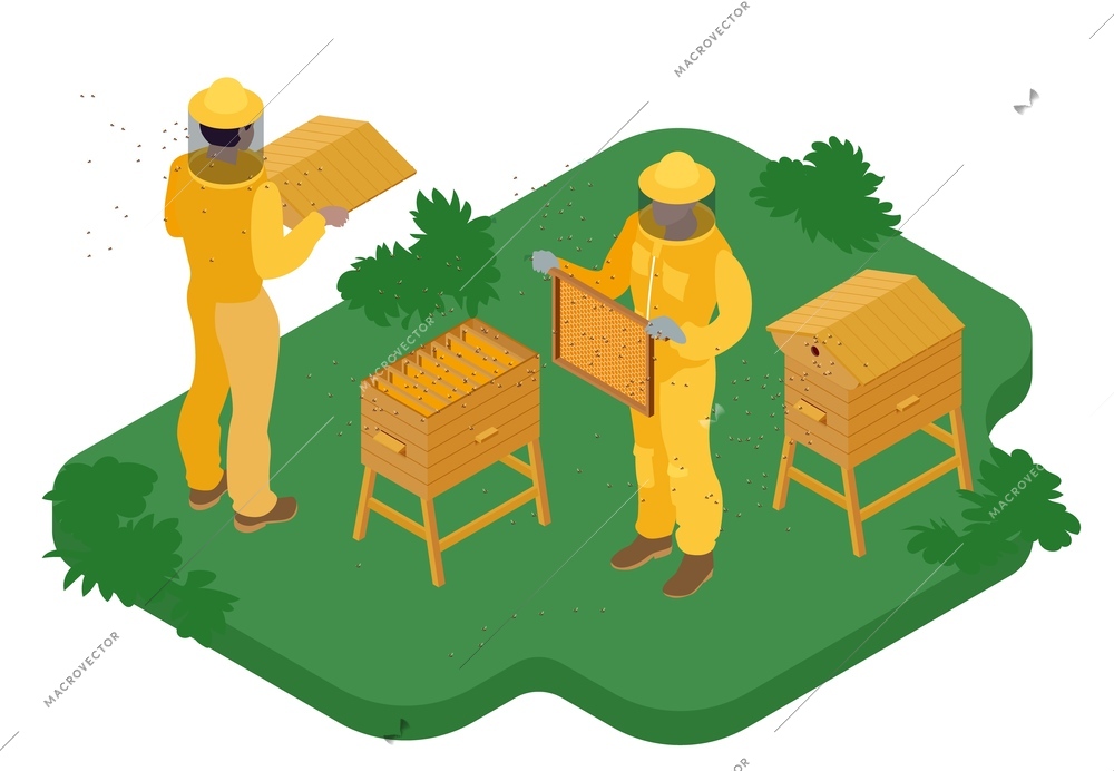 Beekeeping isometric composition with two beekeepers in protective suits collecting honey from hives 3d vector illustration