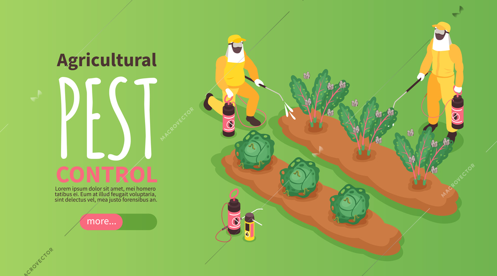 Isometric agriculture pest control banner with workers spraying the field vector illustration