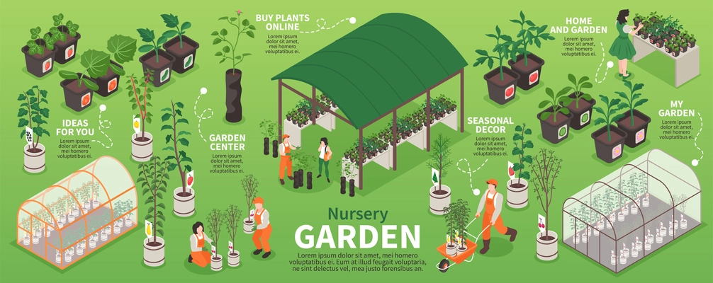 Isometric nursery garden infographics with people working with plant in greenhouse vector illustration