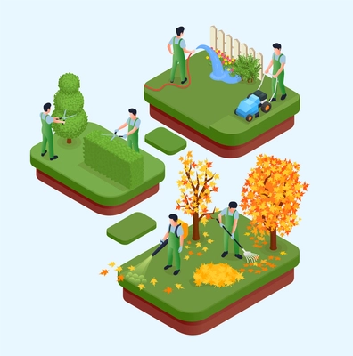 Professional gardening isometric elements so as topiary tree lawn mowing cleaning autumn foliage isolated compositions vector illustration