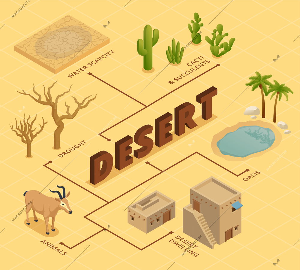 Desert isometric flowchart depicting water scarcity drought animals cacti and succulents oasis and dwelling vector illustration