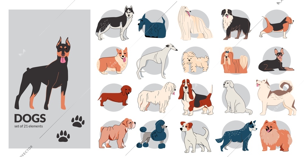Dog drawing outline set with isolated compositions with different dogs and puppies with trails and text vector illustration