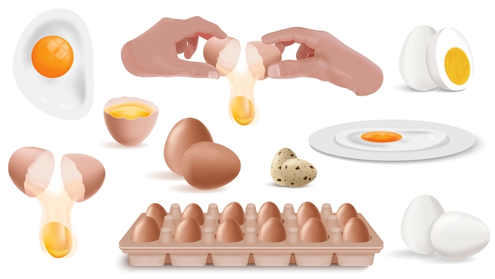 Eggs cook realistic icon set fried hard boiled raw eggs in hand and in shells packaged eggs vector illustration