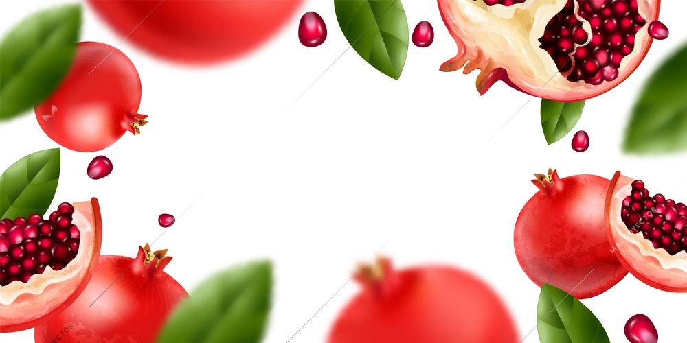 Pomegranate realistic horizontal frame with organic food symbols vector illustration