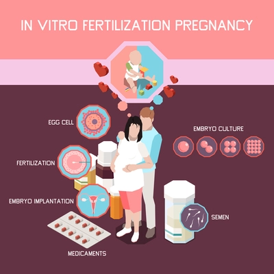 In vitro fertilization pregnancy isometric infographics with embryo culture egg cell embryo implantation elements vector illustration