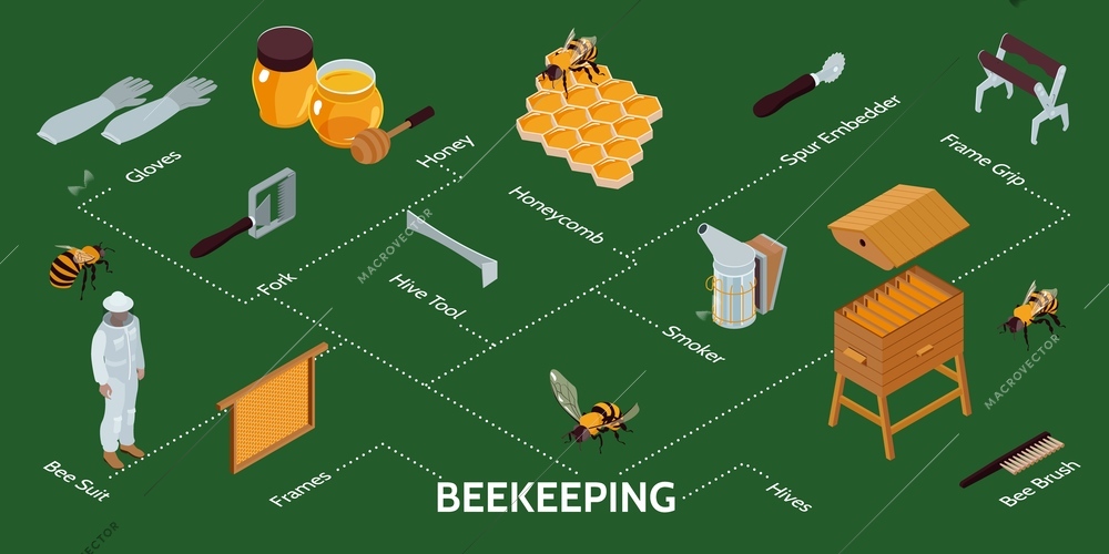 Beekeeping isometric infographics with hives equipment farmer wearing protective suit on green background 3d vector illustration