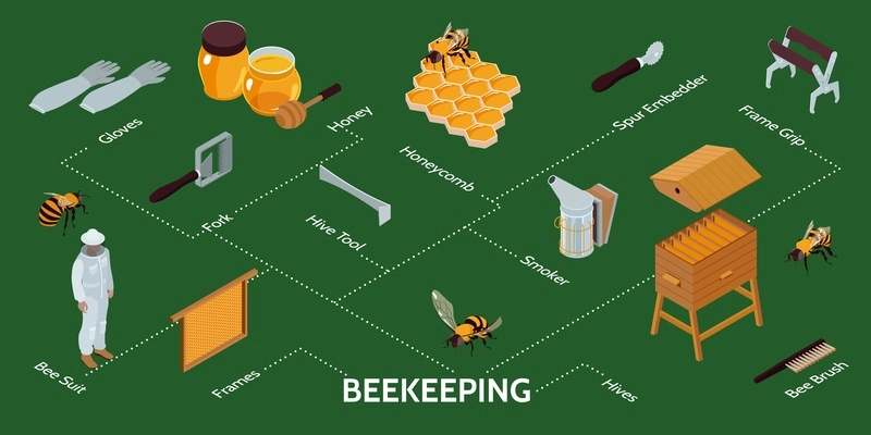 Beekeeping isometric infographics with hives equipment farmer wearing protective suit on green background 3d vector illustration